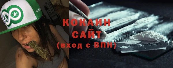 прущие грибы Вязьма