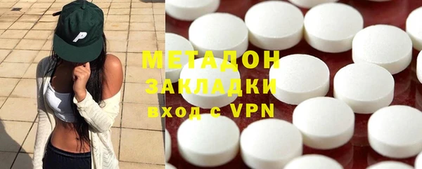 прущие грибы Вязьма