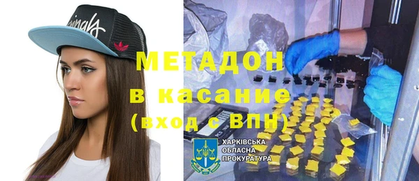 прущие грибы Вязьма