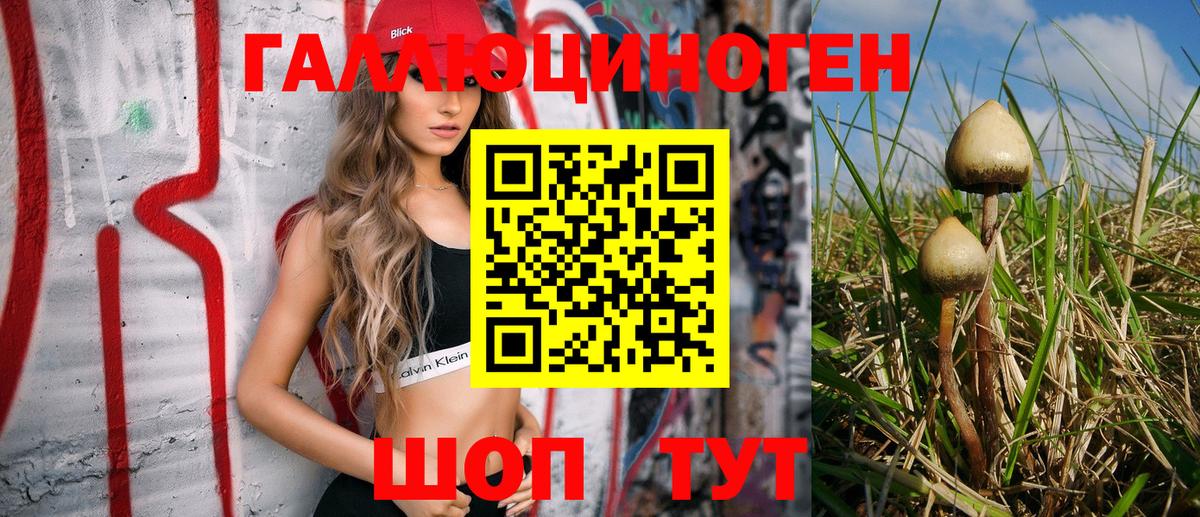 Можайск  Галлюциногенные грибы Psilocybine cubensis  Вход с VPN  Галлюциногенные грибы мицелий 
