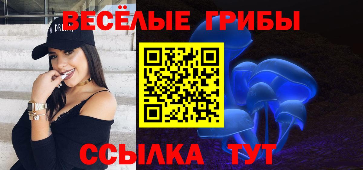 закладки  Псилоцибиновые грибы Magic Shrooms  Можайск  Псилоцибиновые грибы Magic Shrooms 