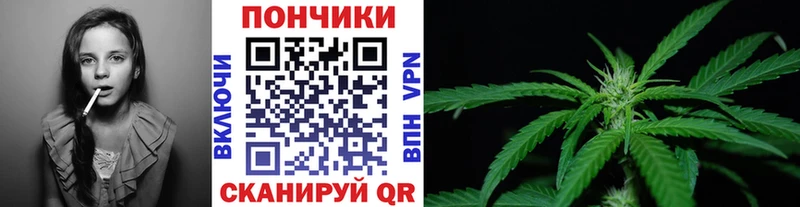 продажа наркотиков  Можайск  Каннабис конопля 